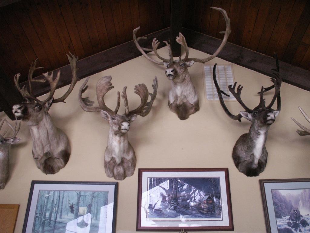 Whitebird Summit Lodge Grangeville Extérieur photo