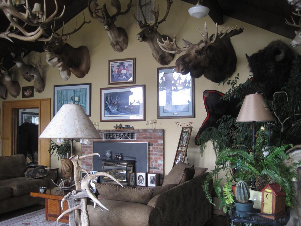 Whitebird Summit Lodge Grangeville Extérieur photo