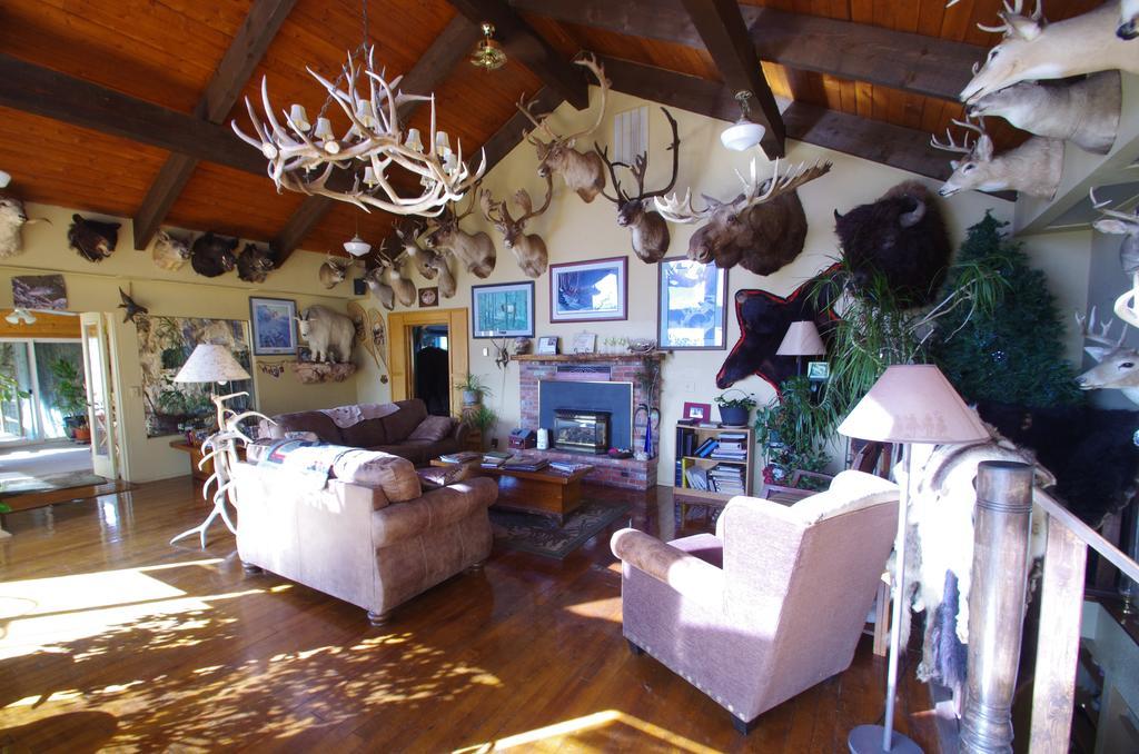 Whitebird Summit Lodge Grangeville Extérieur photo
