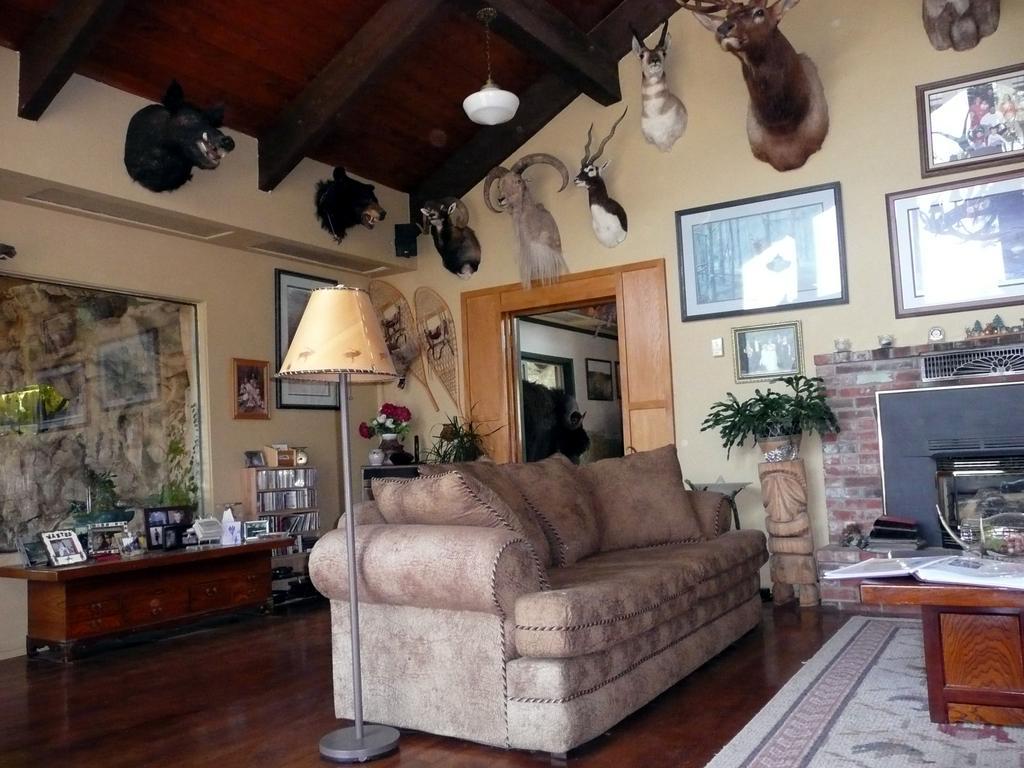 Whitebird Summit Lodge Grangeville Extérieur photo