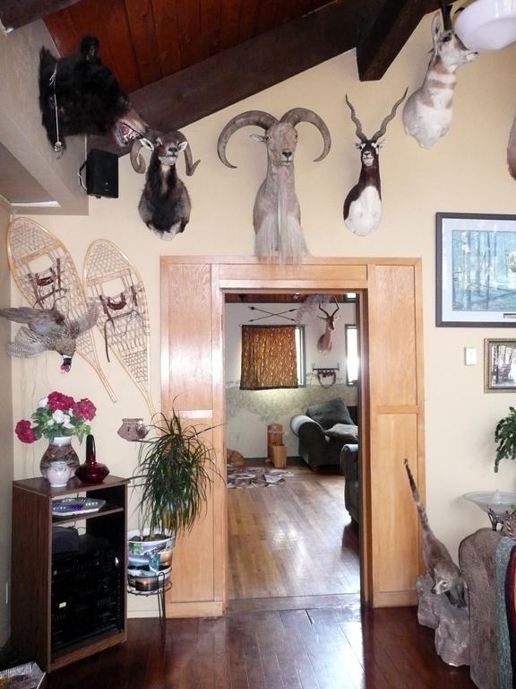 Whitebird Summit Lodge Grangeville Extérieur photo
