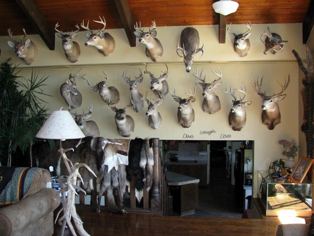 Whitebird Summit Lodge Grangeville Extérieur photo