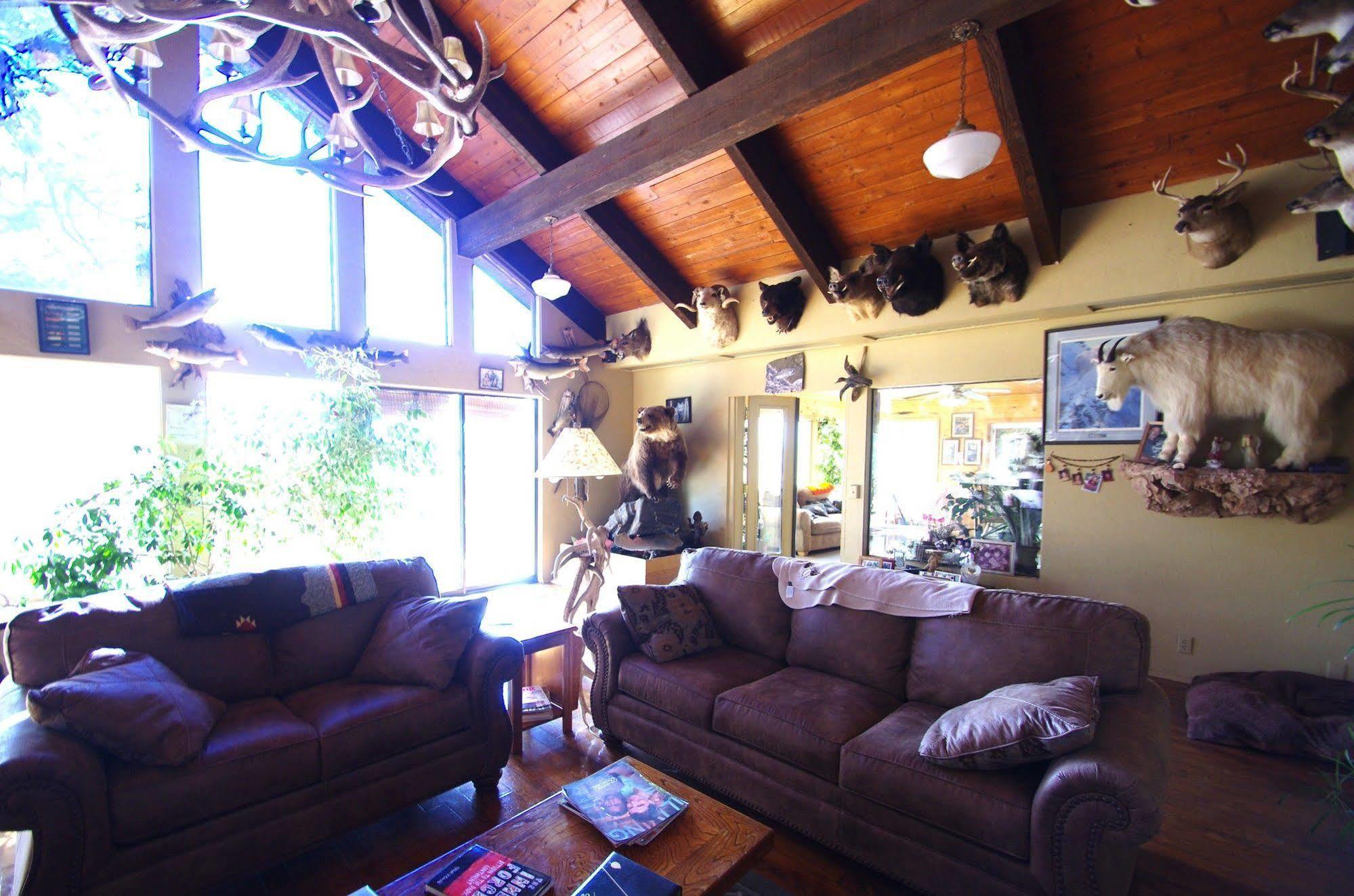 Whitebird Summit Lodge Grangeville Extérieur photo