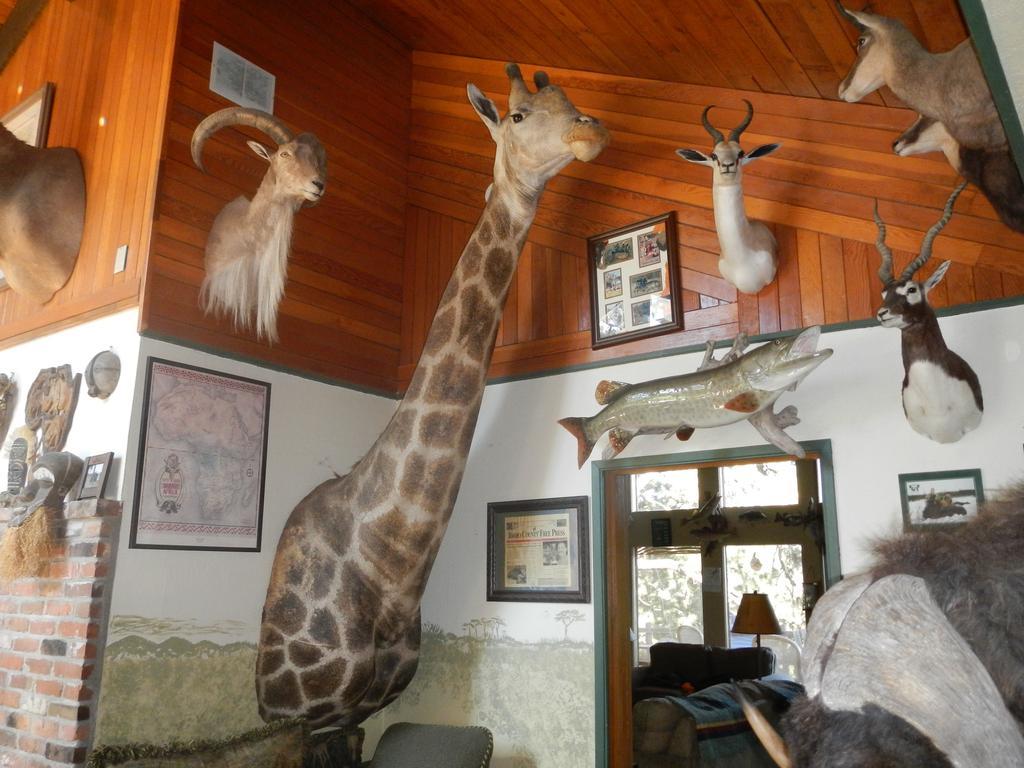 Whitebird Summit Lodge Grangeville Extérieur photo