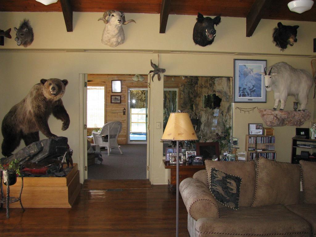 Whitebird Summit Lodge Grangeville Extérieur photo